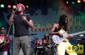 Raging Fyah (Jam) 20. Reggae Jam Festival - Bersenbrueck 03. August 2014 (15).JPG